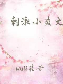 刺激小爽文