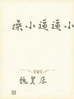 操小逼逼小说版
