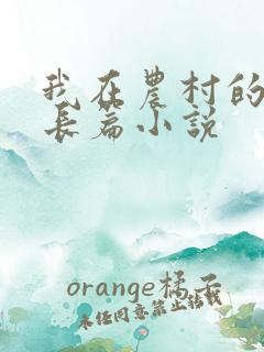 我在农村的性事长篇小说