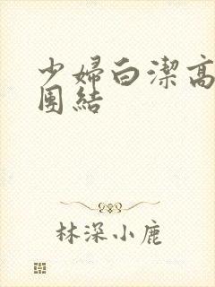 少妇白洁高义大团结