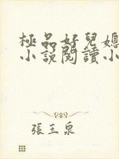 极品好儿媳沐慧小说阅读小说