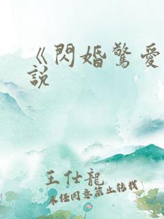 《闪婚惊爱》小说