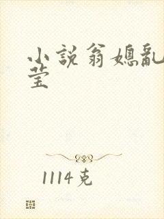 小说翁媳乱情小莹