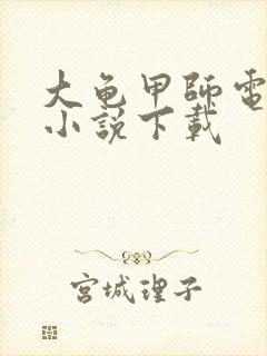 大龟甲师电子版小说下载