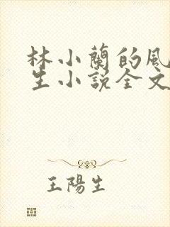 林小兰的风流人生小说全文免费阅读
