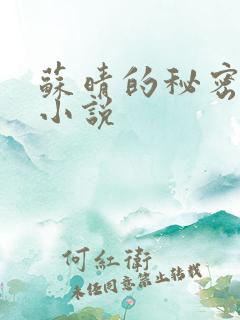 苏晴的秘密言情小说
