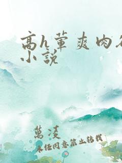 高h荤爽肉欲文小说
