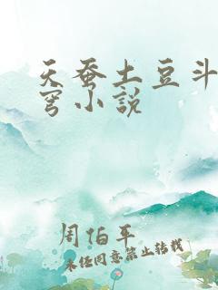 天蚕土豆斗破苍穹小说