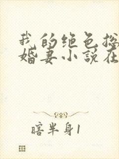 我的绝色总裁未婚妻小说在线阅读