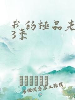 我的极品老婆第3季