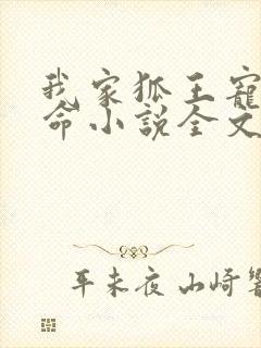 我家狐王宠妻如命小说全文免费阅读