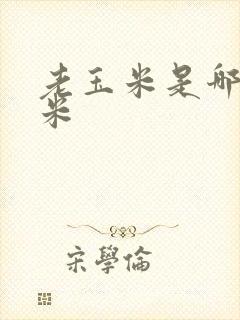 老玉米是哪种玉米
