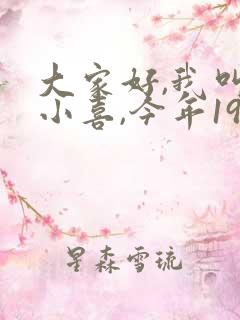 大家好,我叫林小喜,今年19岁小说