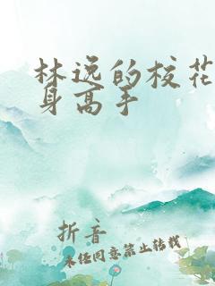 林逸的校花的贴身高手