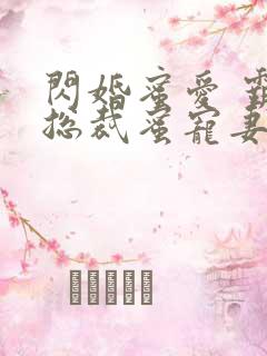 闪婚蜜爱 霸道总裁蜜宠妻