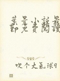 叶晨小说最新章节免费阅读全文