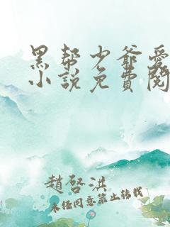 黑帮少爷爱上我小说免费阅读