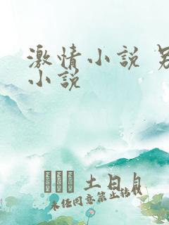 激情小说 另类小说
