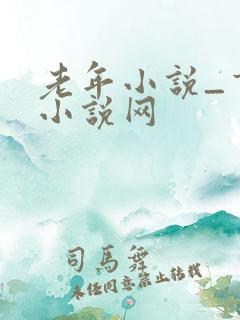 老年小说_言情小说网