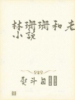 林珊珊和老王的小说