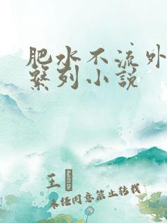肥水不流外人田系列小说
