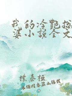 我的冷艳总裁老婆小说全文阅读