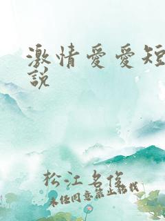 激情爱爱短篇小说