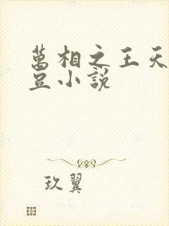 万相之王天蚕土豆小说