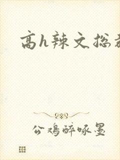 高h辣文总裁