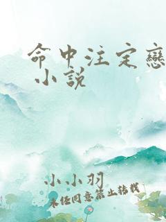命中注定恋上你 小说