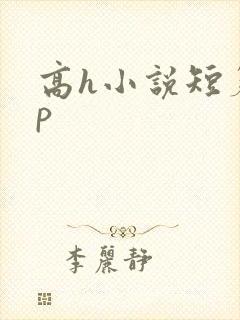 高h小说短篇np