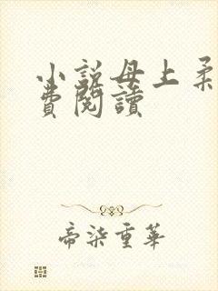小说母上柔情免费阅读