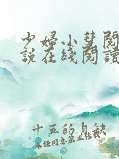 少妇小慧阅读小说在线阅读