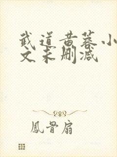 武道黄蓉小说全文未删减