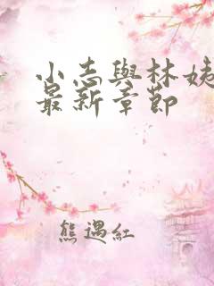 小志与林姨小说最新章节