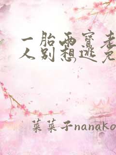 一胎两宝老婆大人别想逃免费阅读