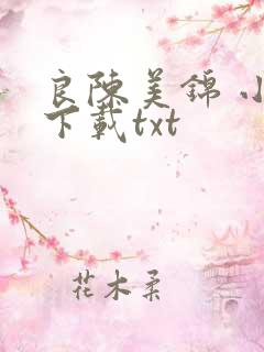 良陈美锦 小说下载txt