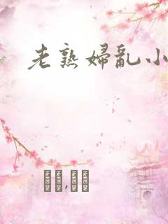 老熟妇乱小说