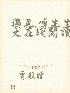 遇见,傅先生全文在线阅读