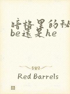 暗格里的秘密是be还是he