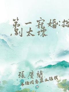 第一宠婚:总裁,别太坏