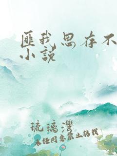 匪我思存不虐的小说