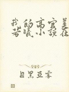 我的高官美母张若曦小说在线阅读