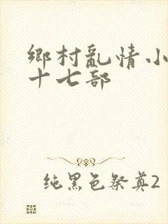 乡村乱情小说第十七部