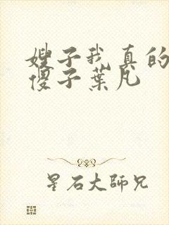 嫂子我真的不是傻子叶凡