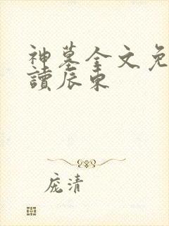 神墓全文免费阅读辰东