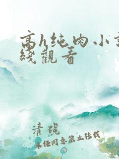 高h纯肉小说在线观看