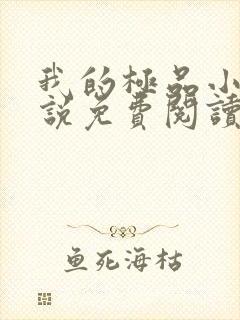 我的极品小姨小说免费阅读全文