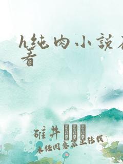 h纯肉小说在线看