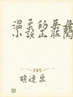 温柔的岳母吴芬小说正版阅读